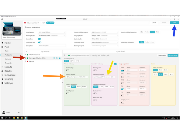 Click Staining and Elution .