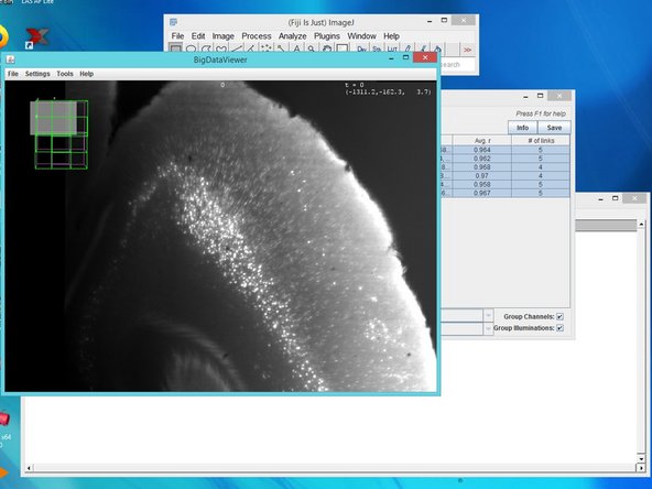 For learning about how to use the BigData viewer press help in the BigData viewer window.